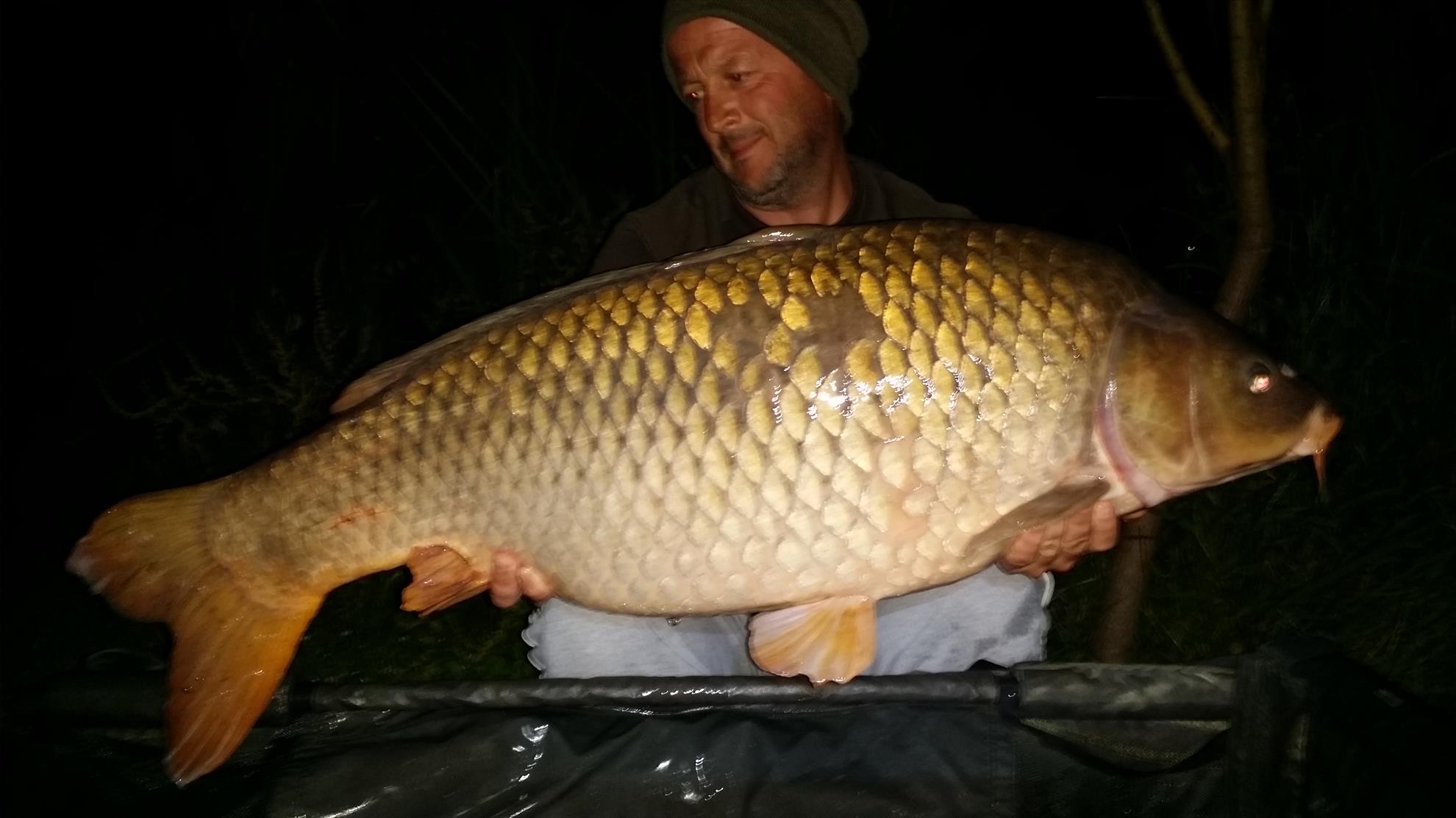 Șiclau 2015  - 20150621042557.jpg